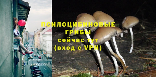 не бодяженный Горнозаводск