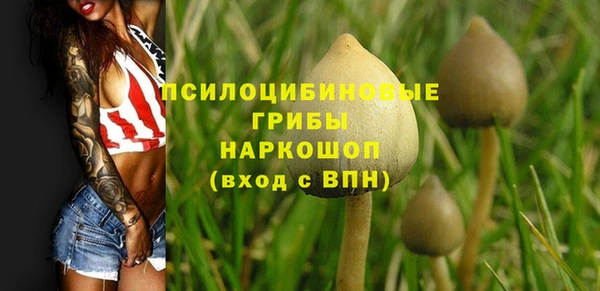 наркотики Горно-Алтайск