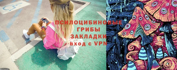 кокс Вяземский