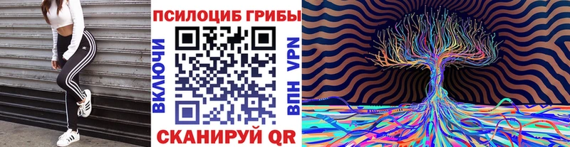 Галлюциногенные грибы Psilocybine cubensis  Братск 